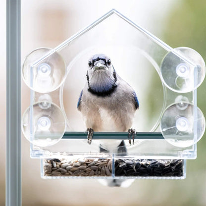 🐱CatFun Bird Feeder 🦜